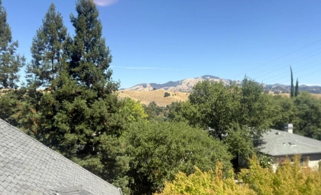 Building Photo - Westside Alamo Custom Estate With Beautifu...