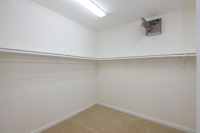 Building Photo - 1711 Clifton Hills Ln