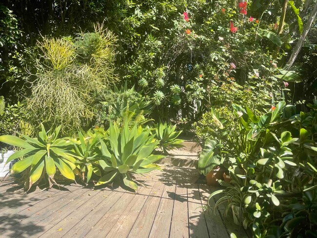 Side garden - 1521 Portia St