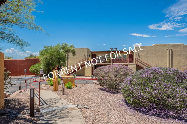 Primary Photo - 6255 N Camino Pimeria Alta