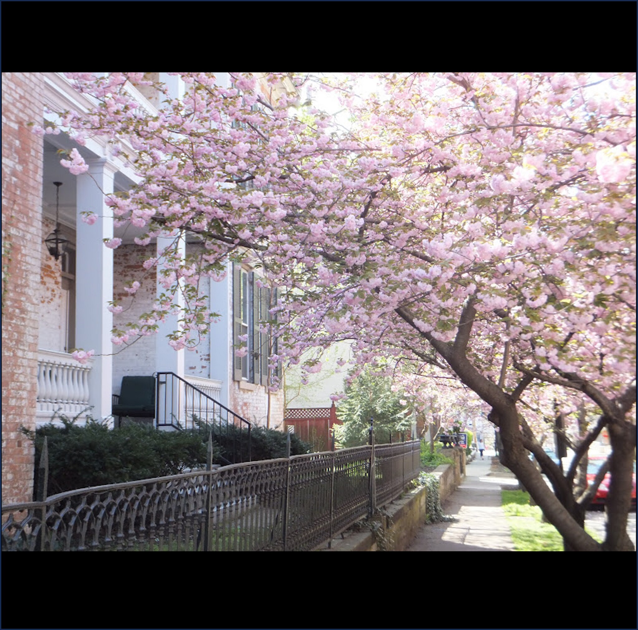 Building Photo - 201 Garrard St