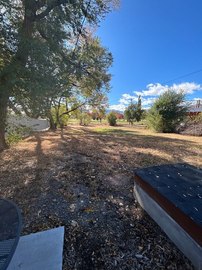 Building Photo - Newly Remodeled Ranch Backs to Patty Jewett