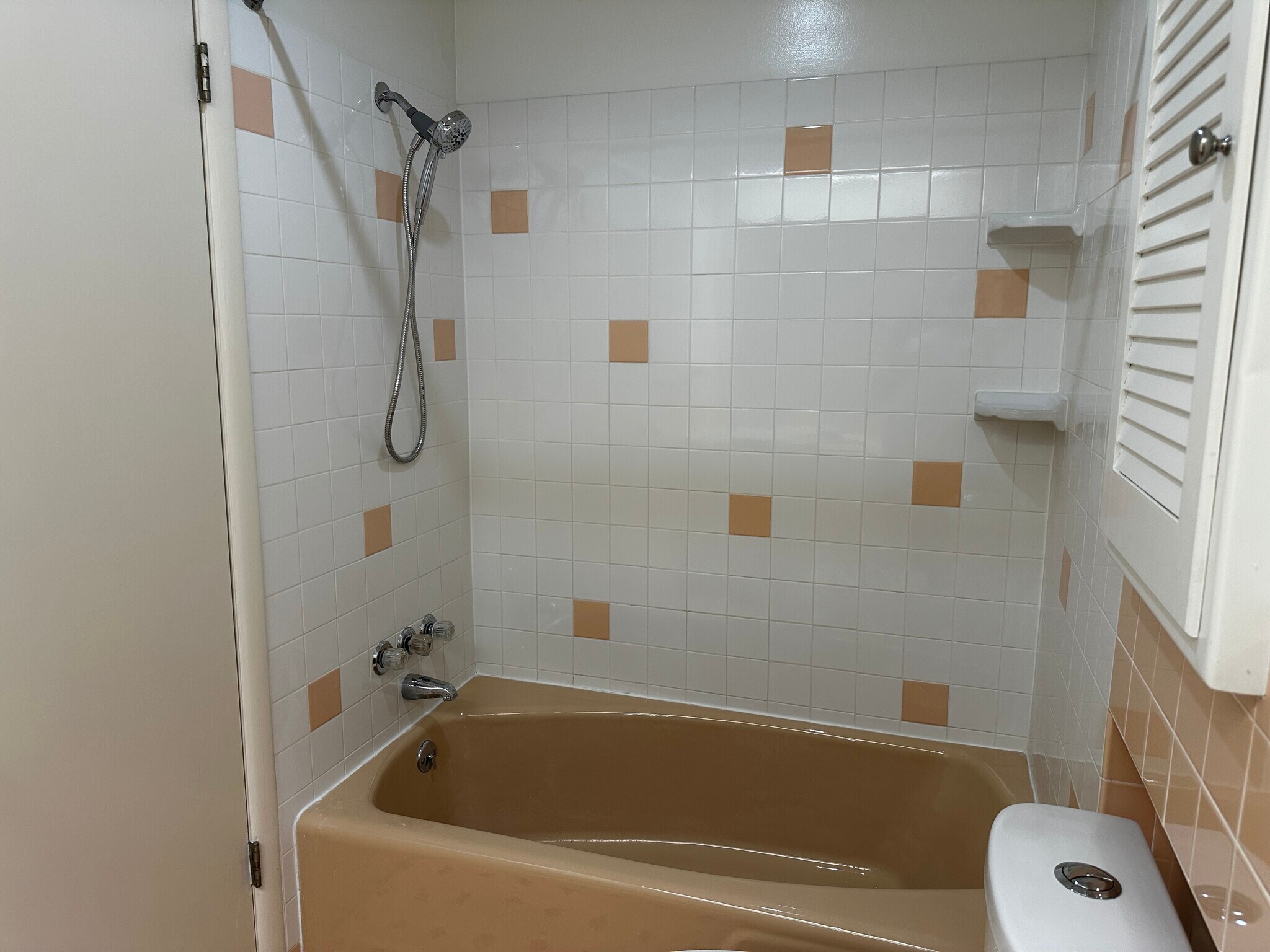 Tub/Shower in 2nd bath - 3030 Hardale Blvd