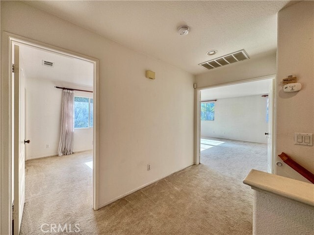 Building Photo - 16612 China Berry Ct