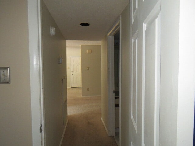 Building Photo - 3803 Chimney Ridge Pl