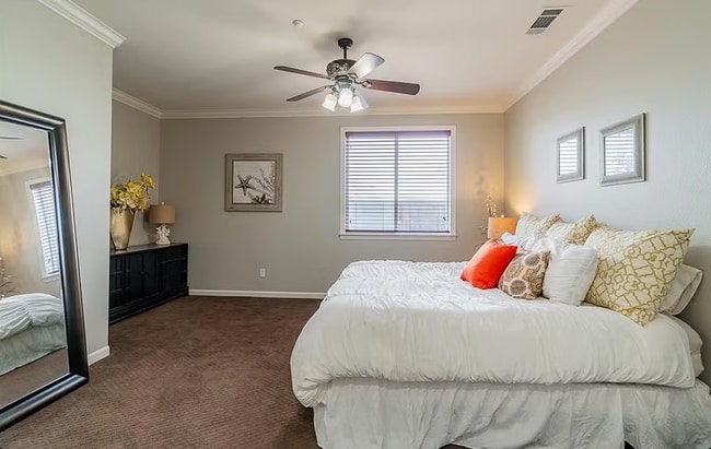 Building Photo - 2296 Star Lilly St