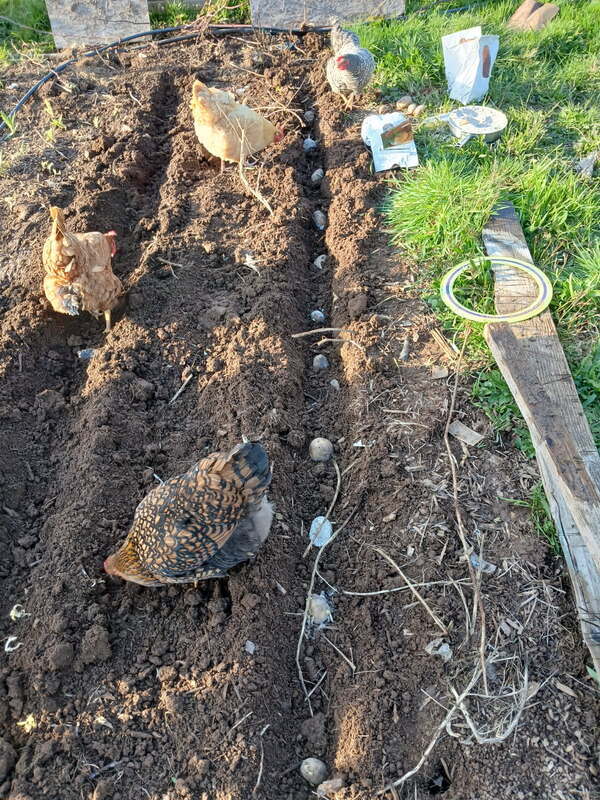 Building Photo - 19105 NE 112th Ave