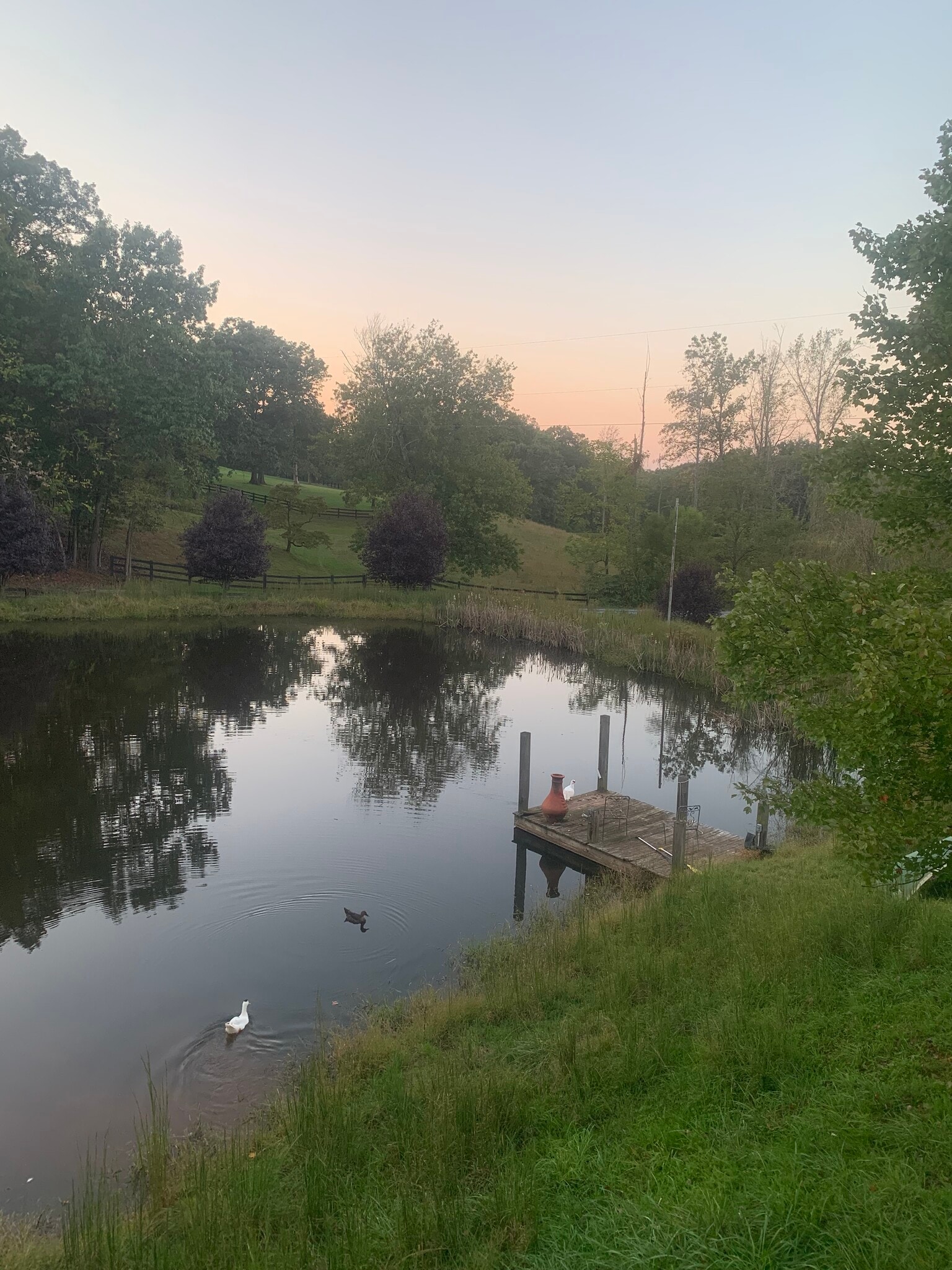 Building Photo - 288 Logan Rd