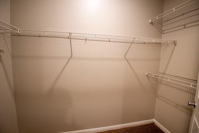 Building Photo - 2320 Gracy Farms Ln