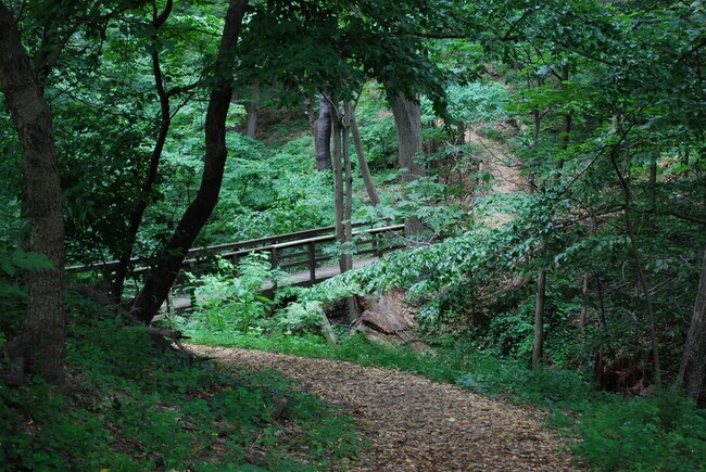 Walking trail - 5901 Mt Eagle Dr