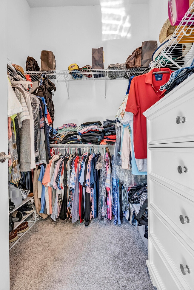 Building Photo - 5320 St Armands Way