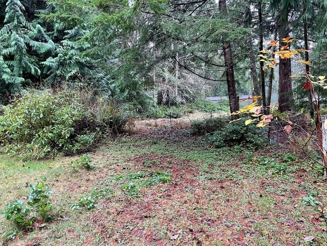 Building Photo - Single Level Home in Langley!
