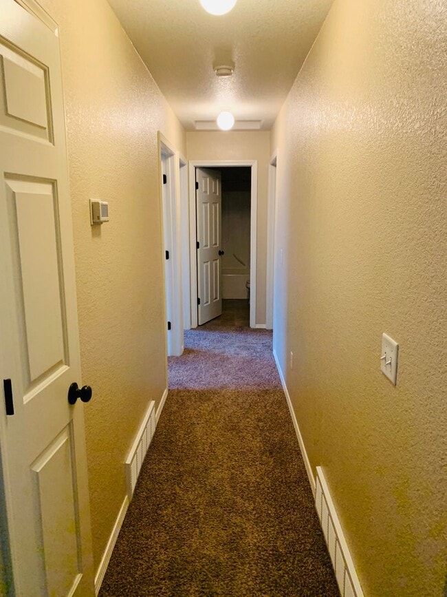 Building Photo - Single Level - 3 Bed - 2 Bath - Pet Friendly
