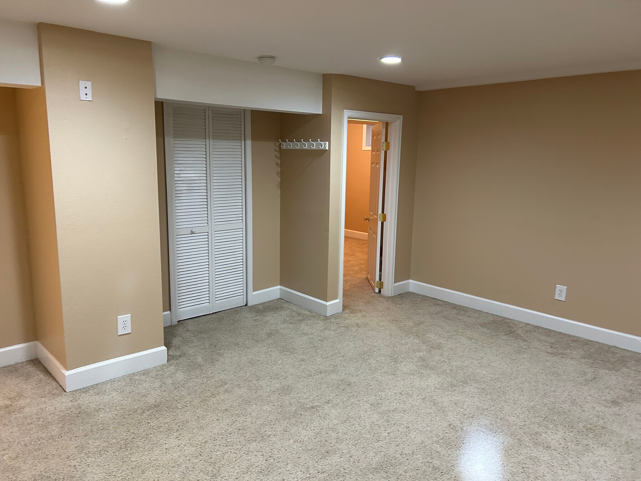 Basement rec room - 2863 S Xanadu Way