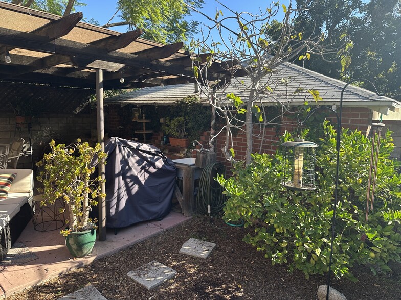 BBQ, Green Fig and Lemon trees - 4680 College View Ave