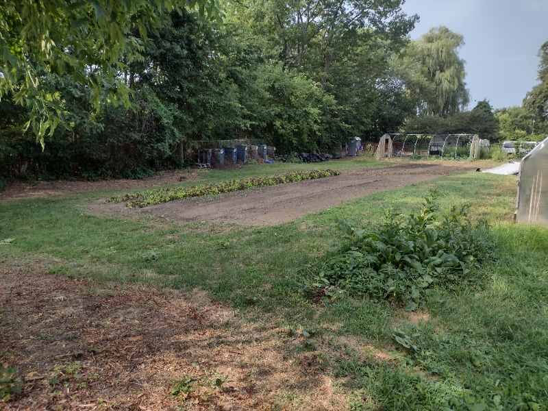 Building Photo - 5 Varick St