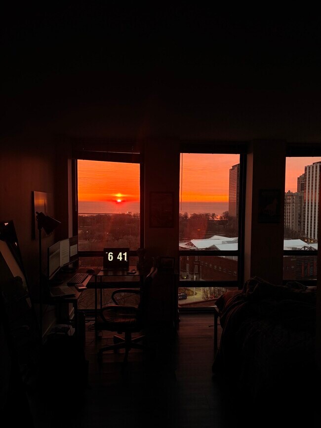 Building Photo - 1660 N La Salle Dr