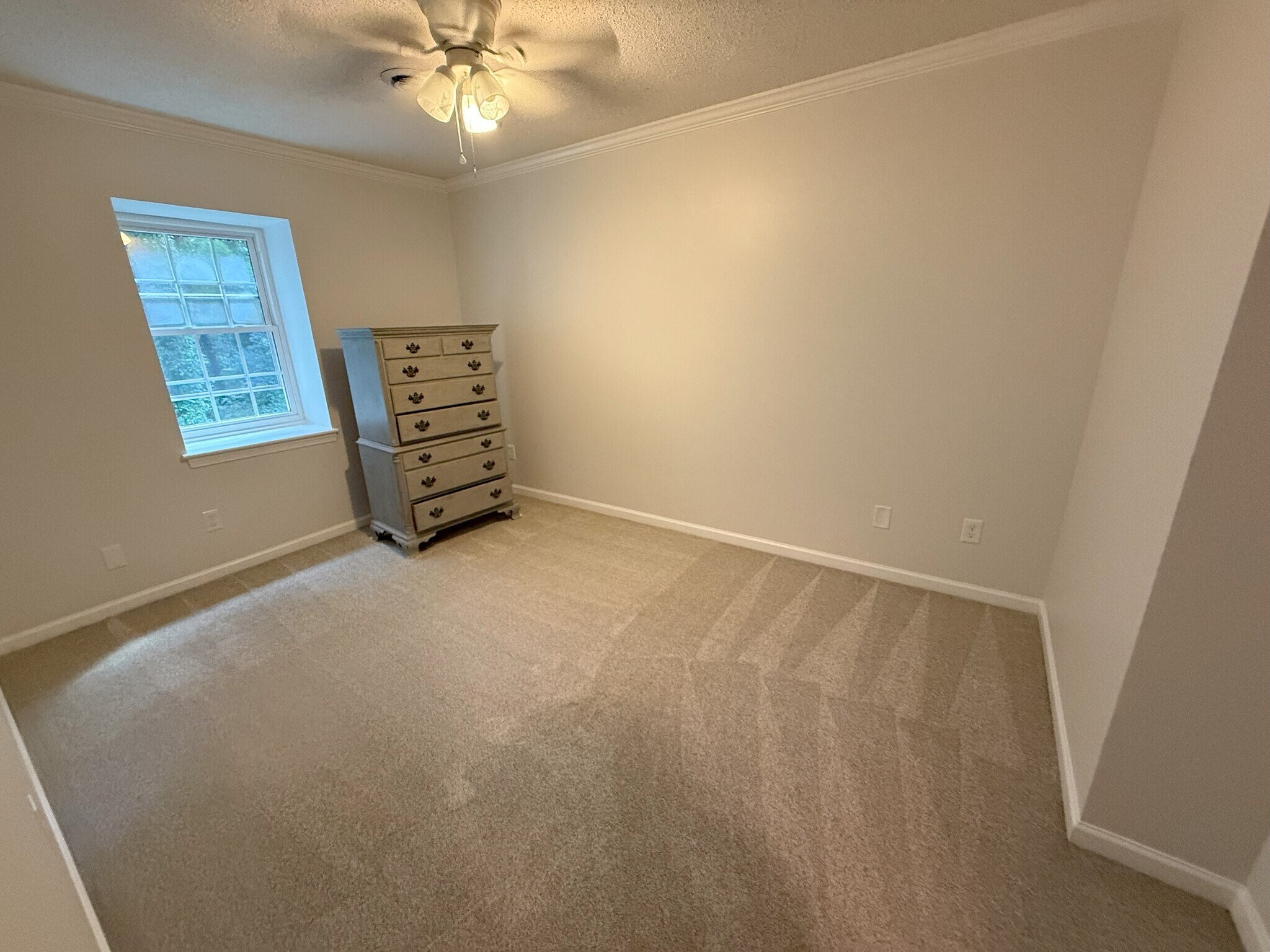 Building Photo - 1337 Springlawn Ct