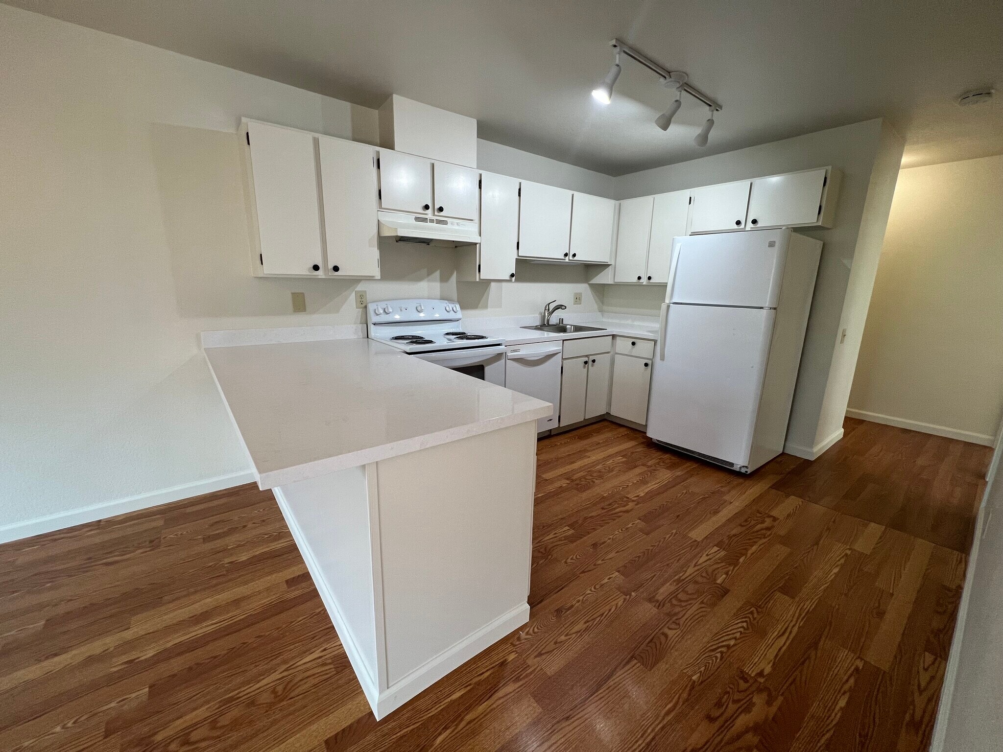 Building Photo - 557 Laine St