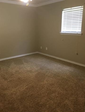 Building Photo - 739 Knupple Rd