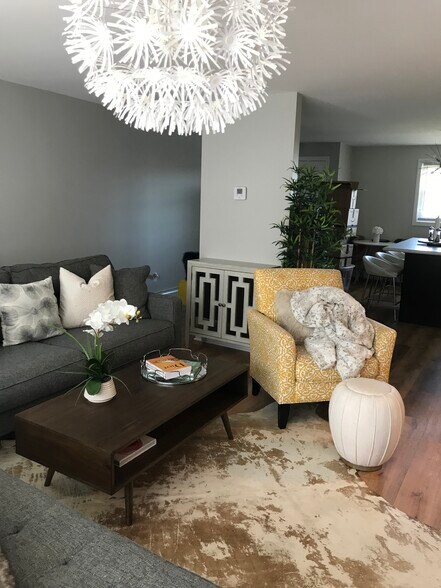 Living room - 245 Cherry Ave