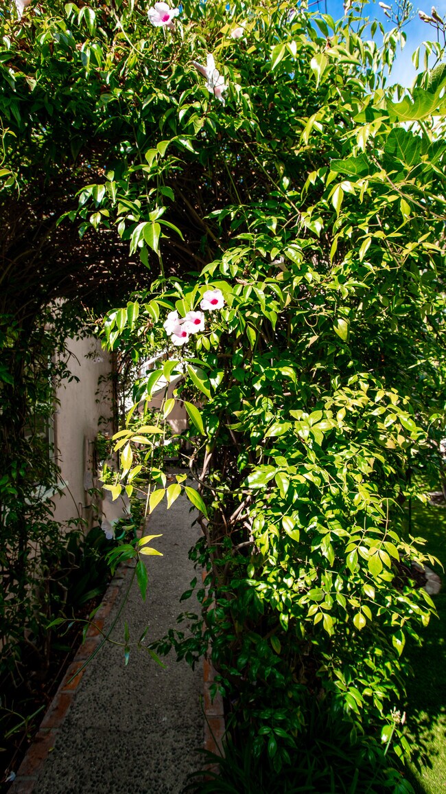 Garden Path - 848 17th St