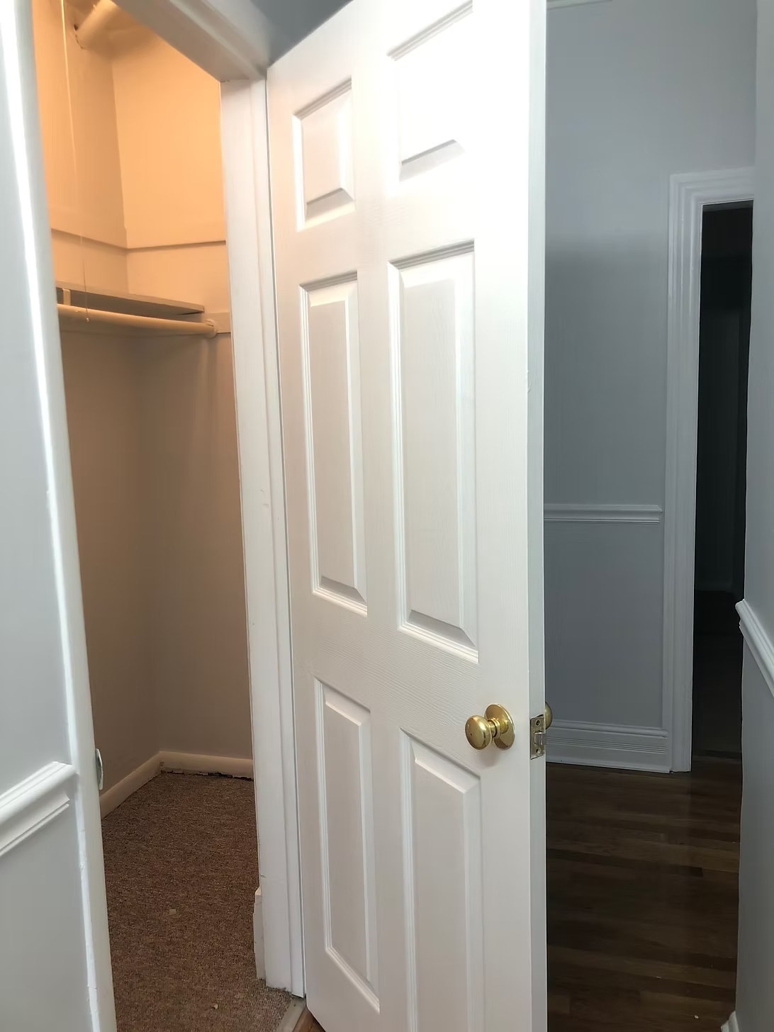 large closets - 811 Washtenaw Ave