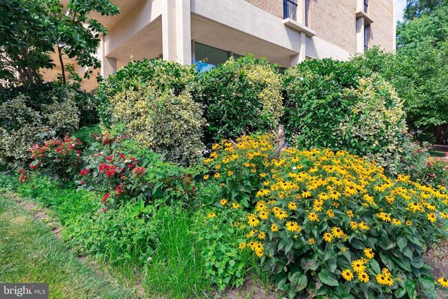 Building Photo - 4600 S Four Mile Run Dr