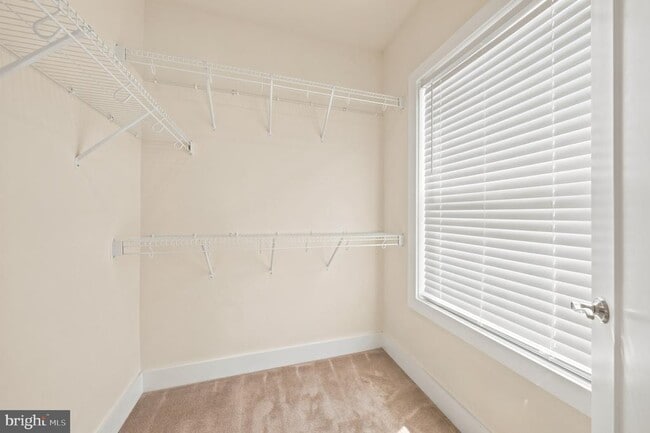 Building Photo - 44730 Tiverton Sq