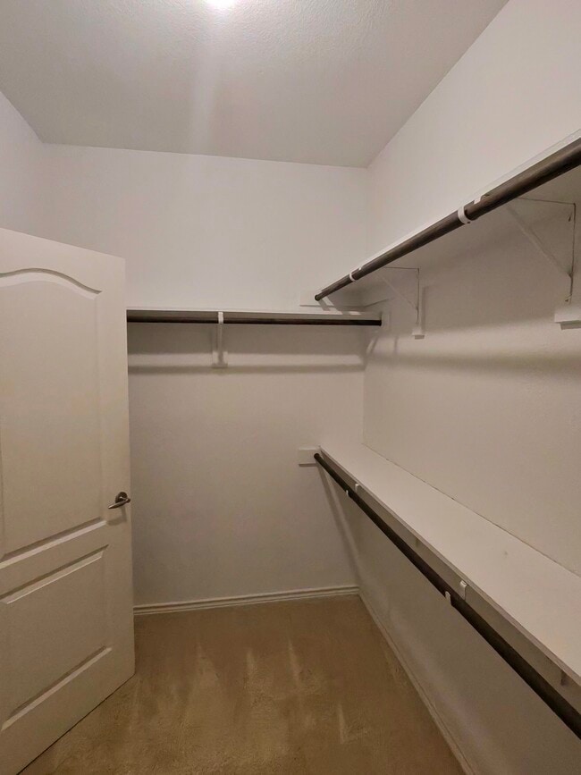 Building Photo - 6072 Pisa Ln