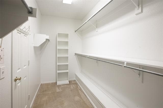 Building Photo - 206 Howley Ct