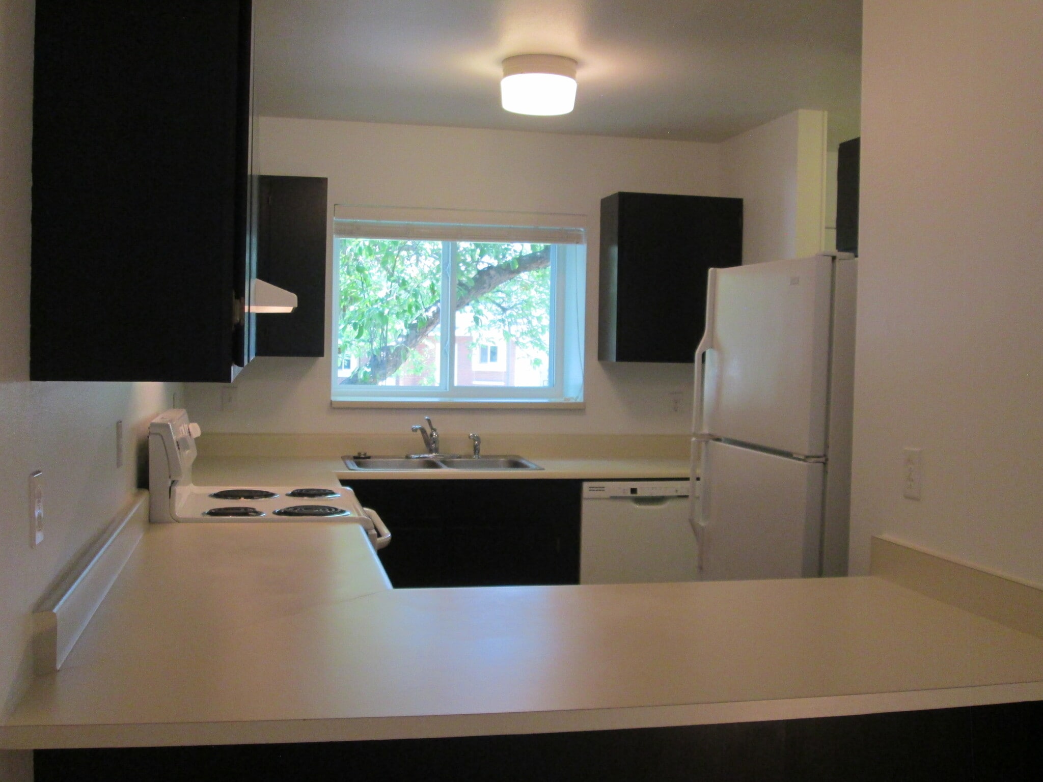 Large Kitchen: Loads of cabinets, fridge, oven/range, dish washer, garbage disposal - 1440 Edora Rd