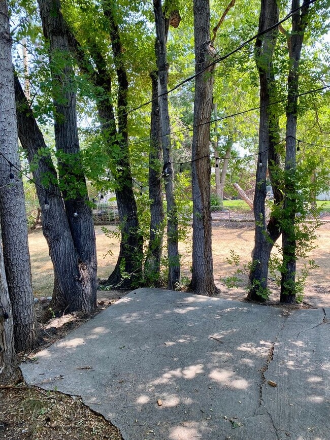 Building Photo - Available for 2026-2027 Fall Pre-Leasing! Charming 3 Bedroom House, conveniently located close to...