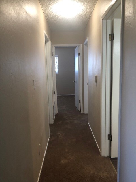 Building Photo - 3456 Redwood Ct