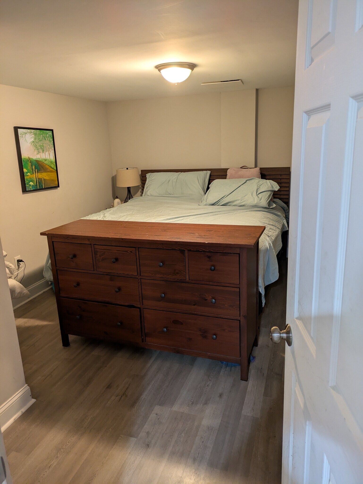 Downstairs bedroom. Current flooring, does not come with king size bed - 127 S Jordan St