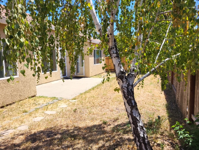 Building Photo - 2271 Celtic Dr