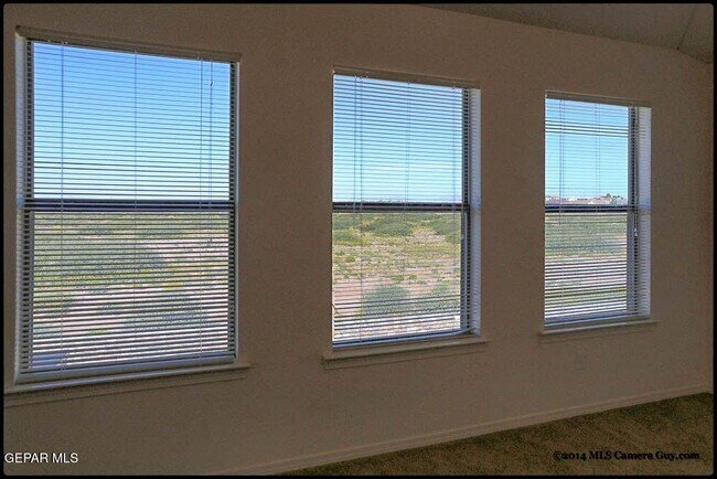 Building Photo - 1345 Fito Hernandez St