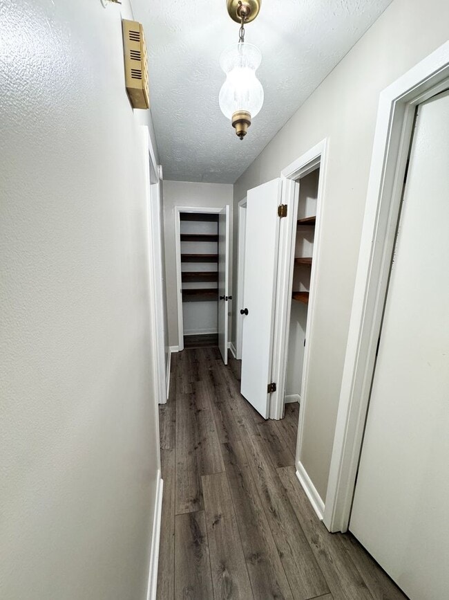 Building Photo - Spacious 4 Bedroom & 3 Bath Home in the Heart of Jacksonville, AL!