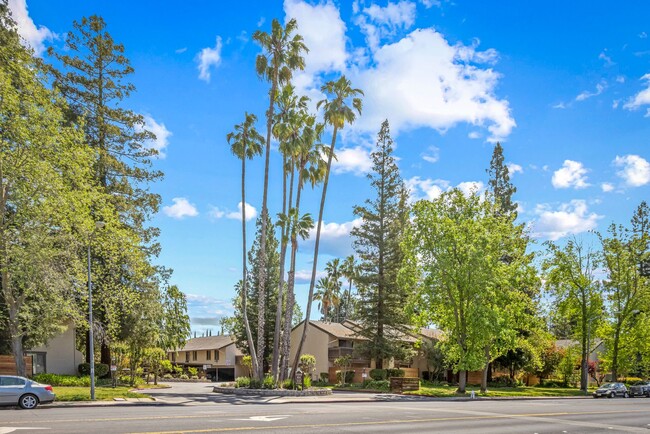Building Photo - Walnut Creek! 1 bedroom 1 bathroom, Walk t...