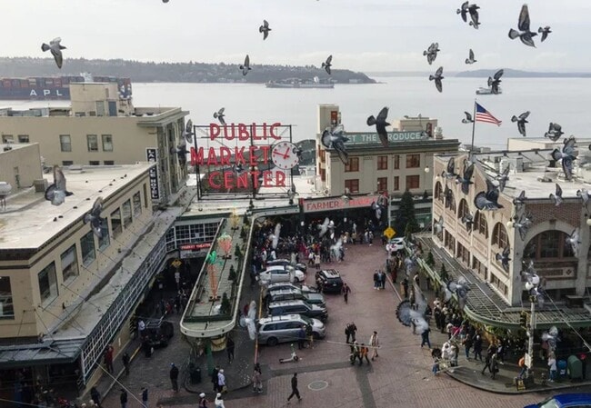 Building Photo - RARE OPENING at Waterfront Landing – Spacious Waterfront 1BR w/ Private Deck, Views & Direct Pike...
