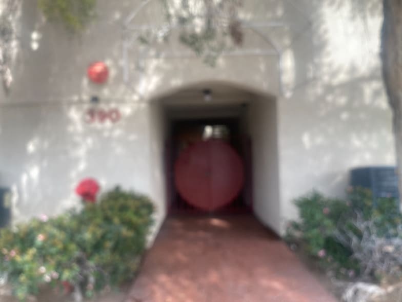 Building Photo - 390 E Madison Ave