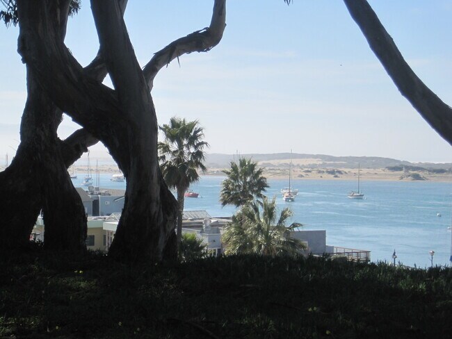 Building Photo - Unblockable View of Morro Bay