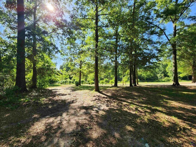 Building Photo - 225 Sandbed Rd