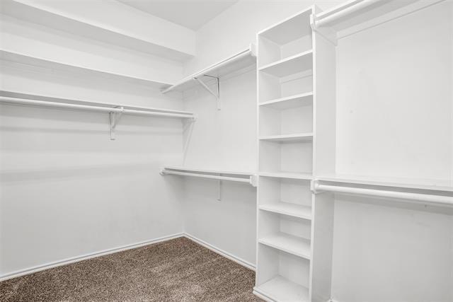 Building Photo - 1317 Carver Ln