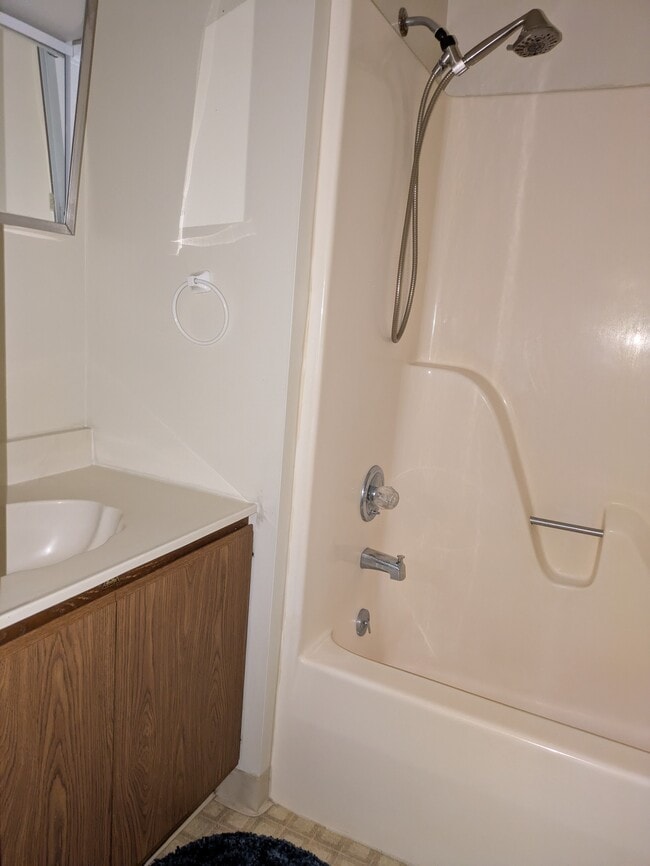 Hall main bath - 137 Thimbleberry Rd