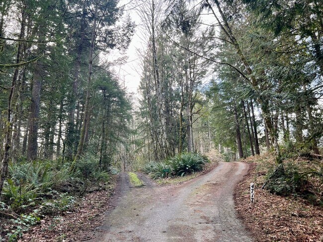 Building Photo - PENDING APPLICATION; Private 5 Acres