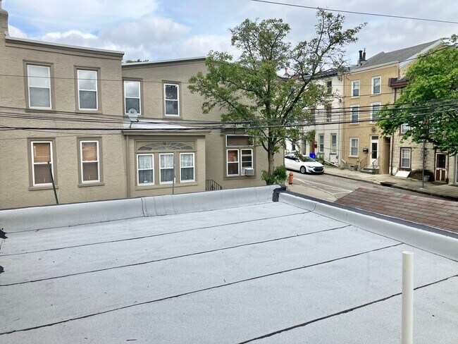 rooftop walkout - 143 Davis St