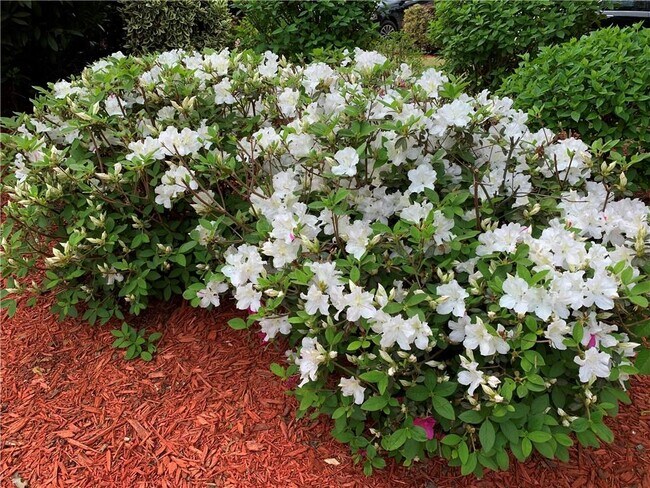 Building Photo - 2020 Chelton Way SE