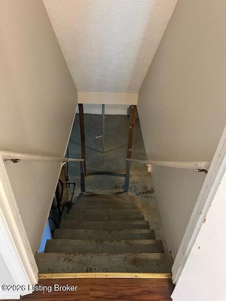 Building Photo - 1705 Cliff Ridge Ct