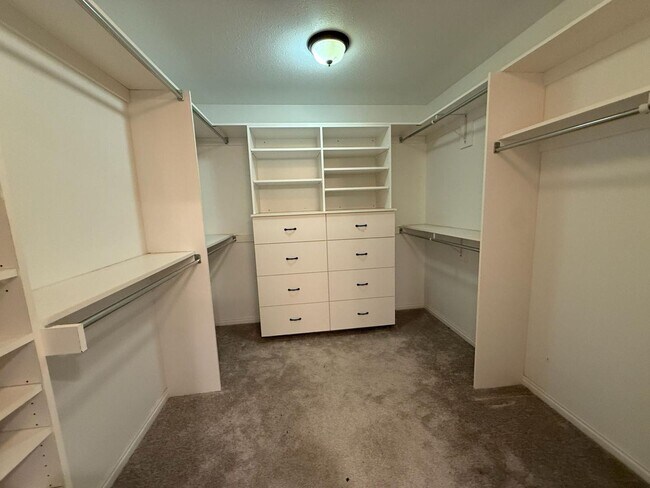 Building Photo - 3849 Bingham Creek Dr